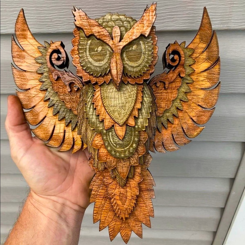 Absolute beautiful cedar owl